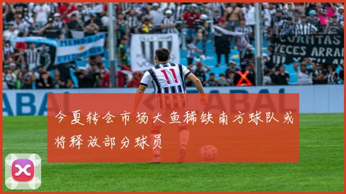 今夏转会市场大鱼稀缺南方球队或将释放部分球员