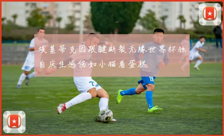 埃基蒂克因跟腱断裂无缘世界杯独自庆生感伤如小猫看蛋糕