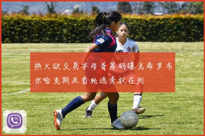 热火欲交易字母哥筹码曝光希罗韦尔哈克斯及首轮选秀权在列