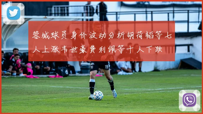 蓉城球员身价波动分析胡荷韬等七人上涨韦世豪费利佩等十人下跌